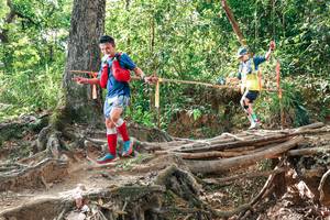 BIB: 
                            <button type="button" onclick="openModal(27717315)" class="btn btn-primary btn-sm float-right btn-popup" data-toggle="modal" data-target=".modal-high-quality">
                        <i class="fas fa-shopping-cart"></i> Add to Cart
                    </button>
                                            <button type="button" onclick="isThisMe(27717315, true)" class="btn btn-success btn-sm float-right btn-popup btn-isme hidden" data-toggle="tooltip" data-placement="bottom" title="นี่คือรูปของคุณใช่ไหม คลิกที่นี่เพื่อเอาเข้าอัลบั้ม">
                        <i class="fas fa-plus"></i> Add to album
                    </button>
                    <button type="button" onclick="isThisMe(27717315, false)" class="btn btn-warning btn-sm float-right btn-popup btn-isnotme hidden">
                        <i class="fas fa-ban"></i> Remove from album
                    </button>